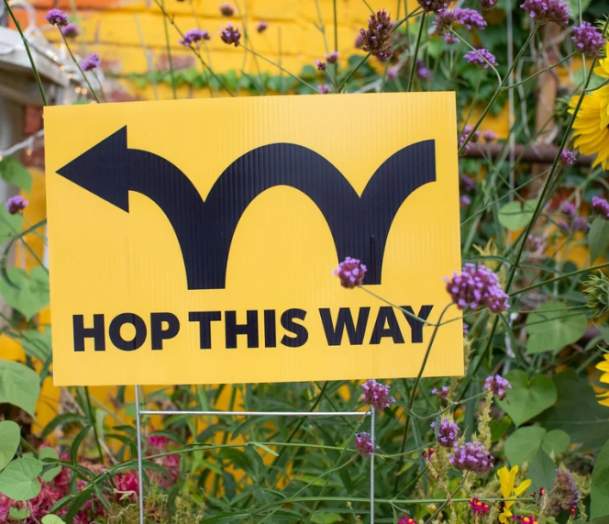 34th Annual South End Art Hop!