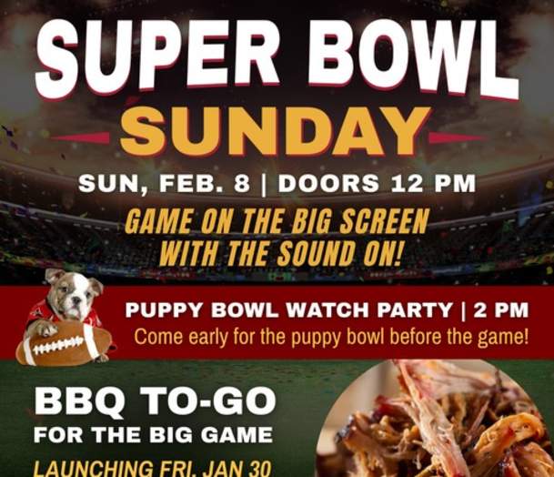 Puppy Bowl/ Super Bowl Watch Party