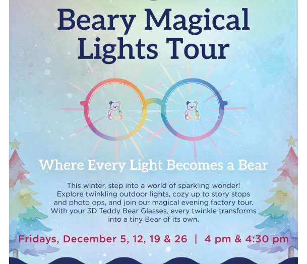 Beary Magical Lights Adventure!