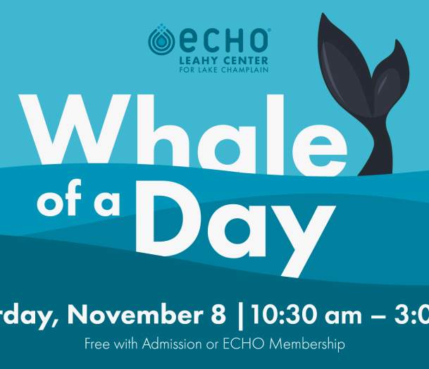 Whale of a Day