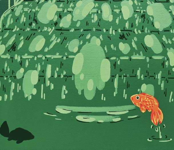 Art Gallery: "Cawdor Burn Rd."