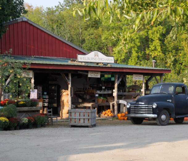 Shelburne Orchard