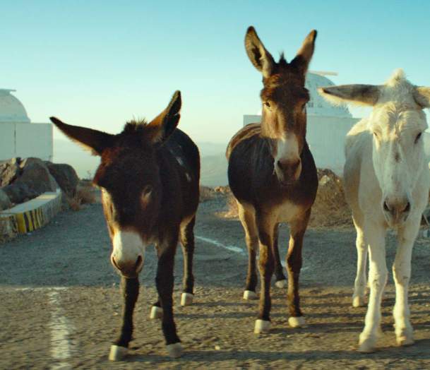 2026 Oscar-Nominated Short Films: Documentary