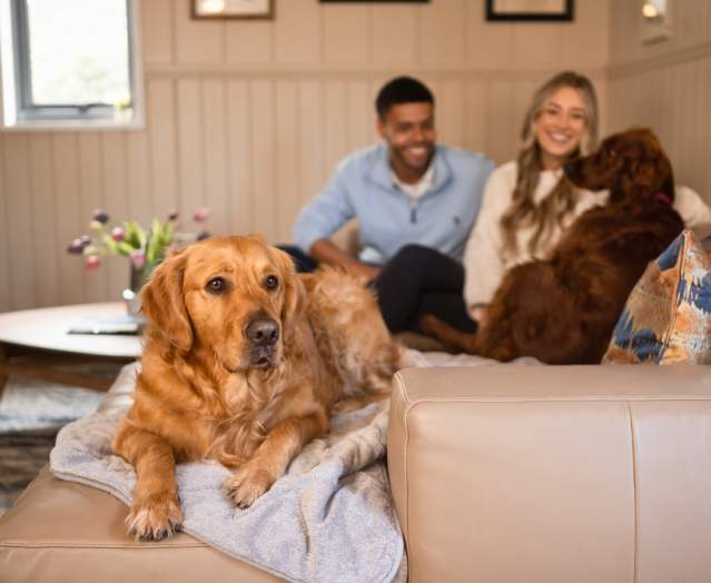 DNI Thumbnail - Galgorm dogs pet friendly accom