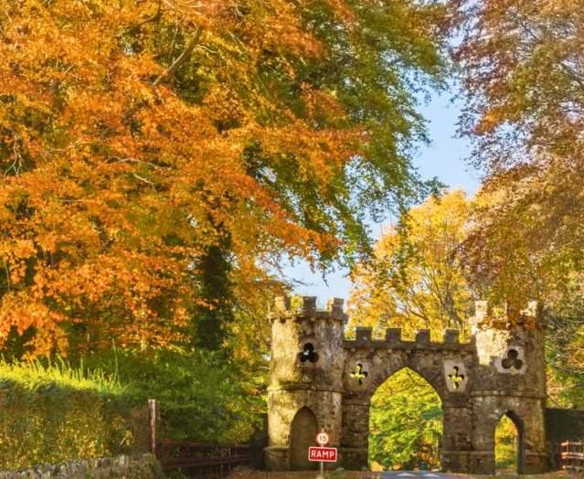 Autumn Walks In Northern Ireland