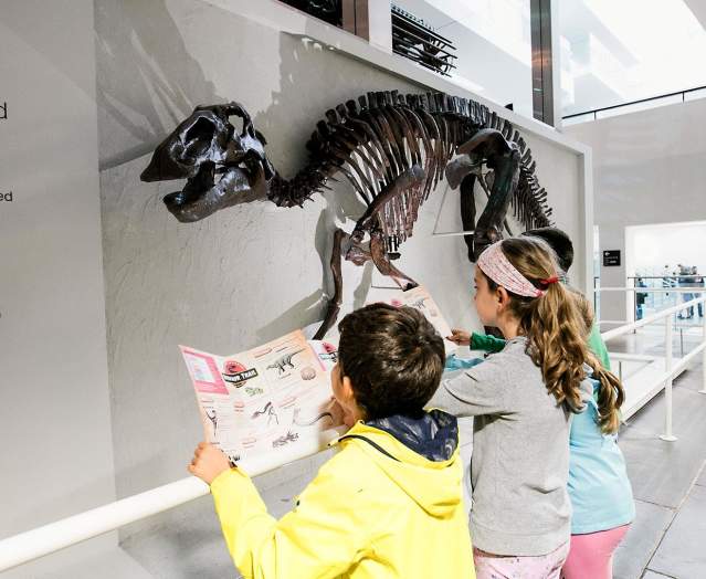 Visitors enjoying the Edmontosaurus dinosaur; the only real near complete dinosaur skeleton display at the Ulster Museum, Belfast.