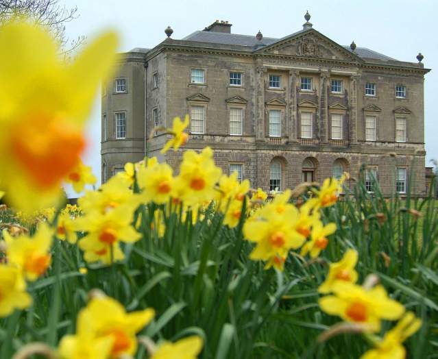 Castle Ward in Spring with daffodils in the foreground.