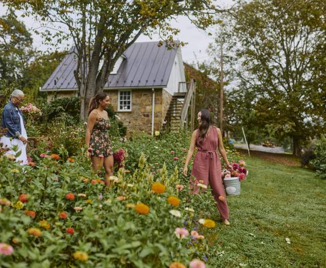 Three visitors picking zinnias and dahlias at a flower farm in Loudoun County, Virginia, with a historic stone building in the background