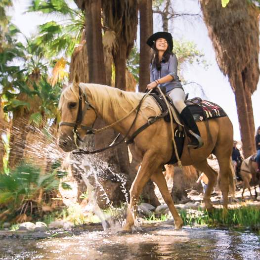 Horse and rider splashing through oasis on the trail in Andreas Canyon