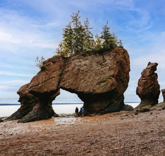 Hopewell Rocks Provincial Park