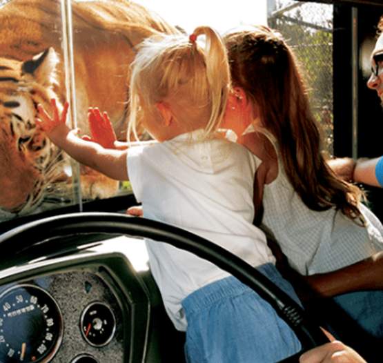 Zoo_FamilyAdventures1_564x370