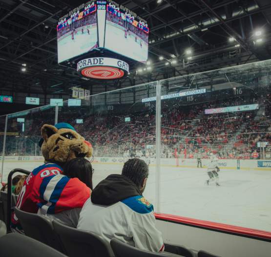 Moncton Wildcats