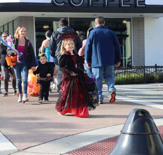 Spooky Season: Your Guide to Halloween Fun