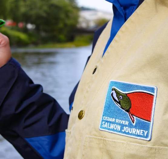 Splash into Salmon Season