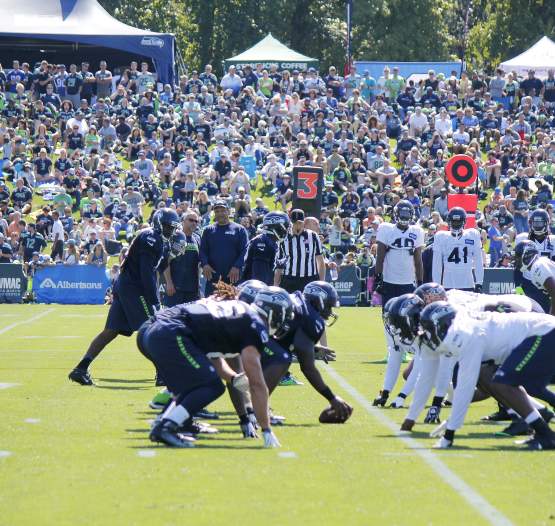 Celebrate the Seahawks