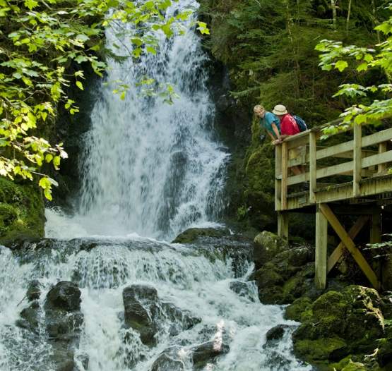 Fundy National Park