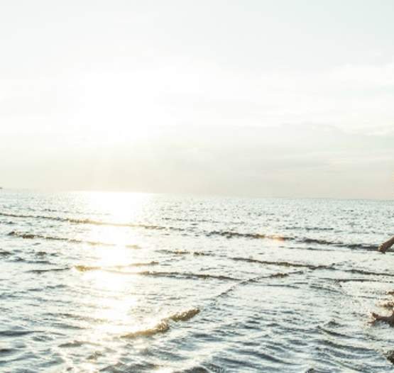 Le Parc provincial de la plage Murray