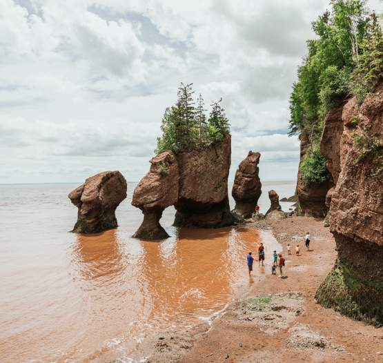 Le parc provincial des Rochers Hopewell