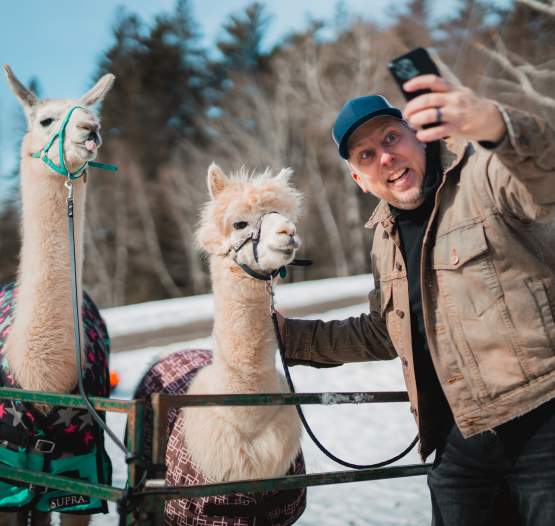 Llama-zing Adventures