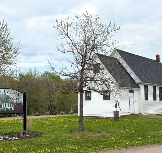 Tankville School