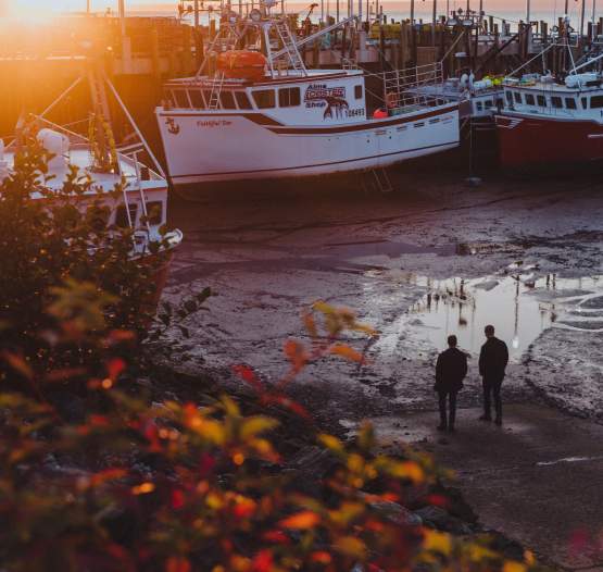 Roads To Sea Tours
