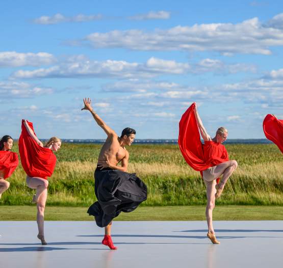 Ballet by the Ocean