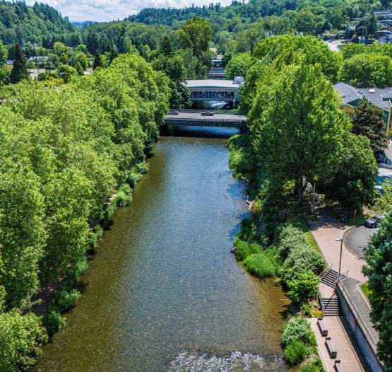 Cedar River Trail
