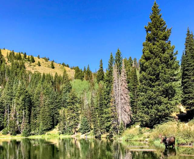 The Best Park City Day Hikes