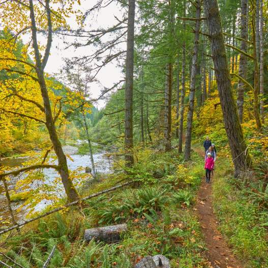 Fall Foliage Road Trips