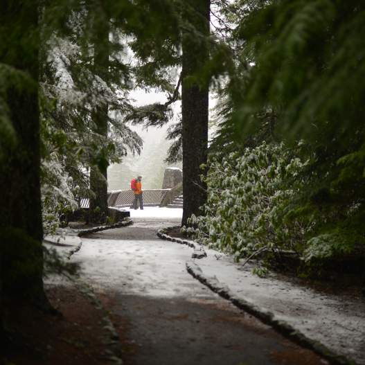 Ten Classic Winter Adventures