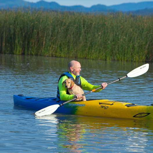 A Day at Fern Ridge Reservoir