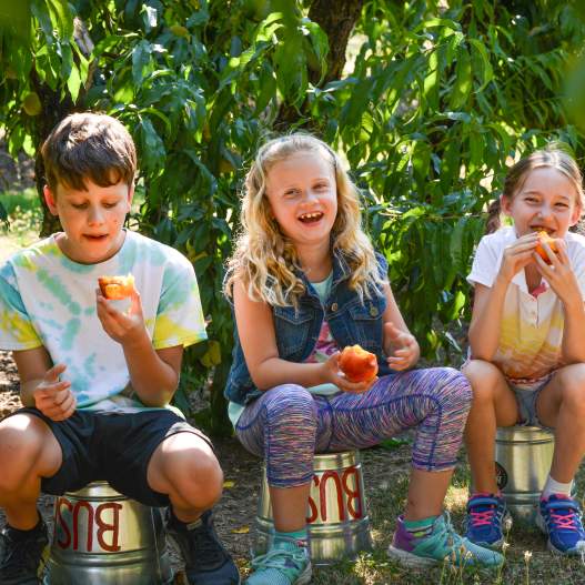 Family Friendly Farms Tour