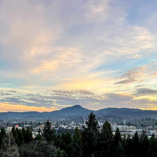 A view of the Eugene cityscape at sunset