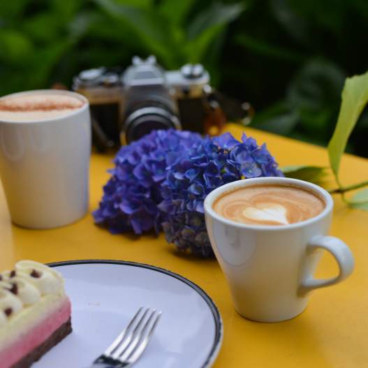 Best Eugene Coffee Shops by Neighborhood