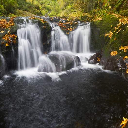 Colorful Autumn Waterfalls