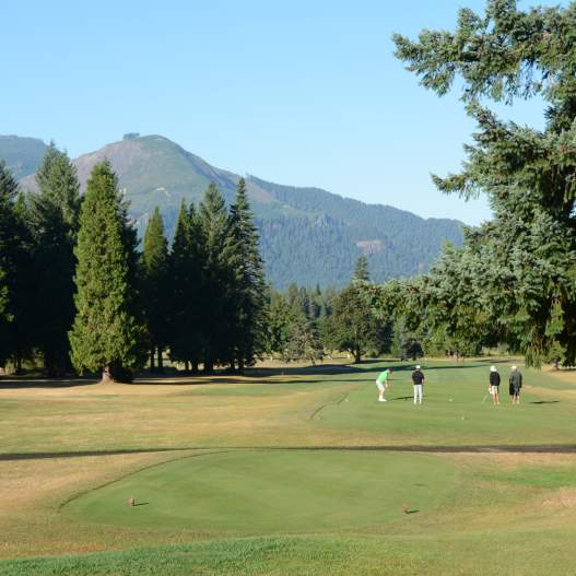 Top Summer Golf Greens