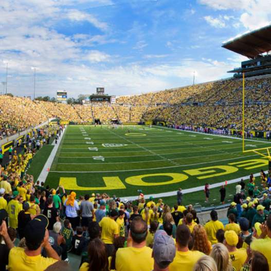 Autzen Stadium, University of Oregon Duck Football Game, Eugene, Willamette Valley by David Putzier