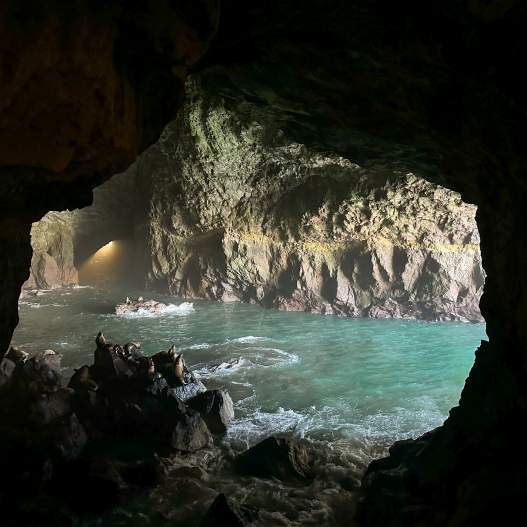Sea Lion Caves