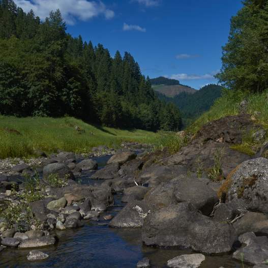 Goodman Creek Trail #3461.1