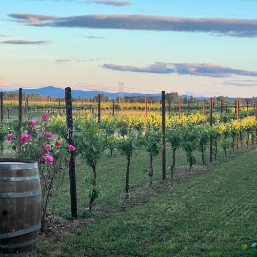 Hayworth Estate Wines
