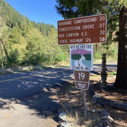 Aufderheide Drive (Forest Service Rd 19)