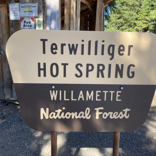 Terwilliger Hot Springs (Cougar Hot Springs)