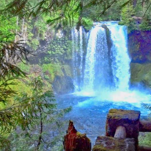 Tamolitch Blue Pool and Waterfall Hike