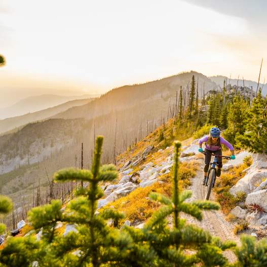 Trans Cascadia Excursions