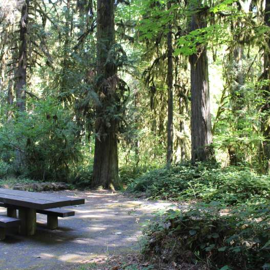 Black Canyon Campground