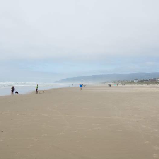 Heceta Beach