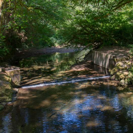 Whittaker Creek Recreation Site