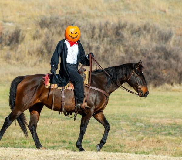 Spooktacular Fun in October