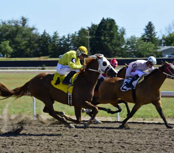 Save These Dates in 2026