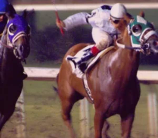 Lake Mac Casino Resort and Racetrack Opening Soon